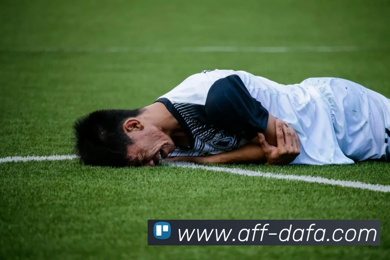 大发彩票平台生态图